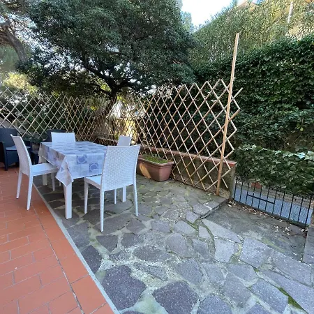 Pino Italico Castiglioncello