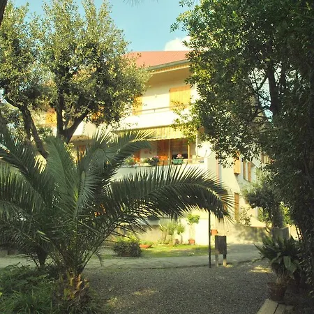 Pino Italico *