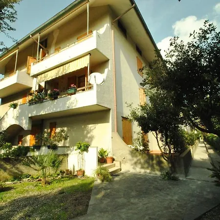 Pino Italico Castiglioncello